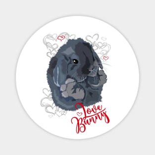 Valentines day (love Bunny) Magnet